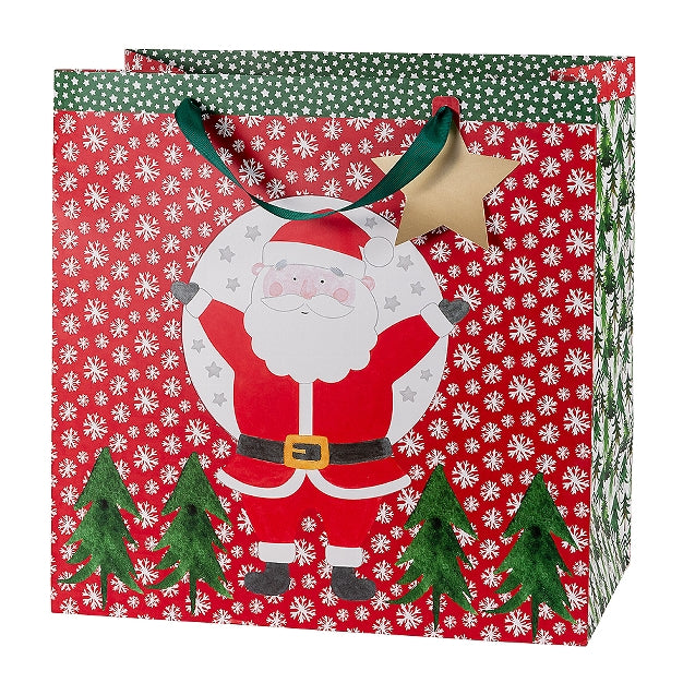 Santa Gift Bag