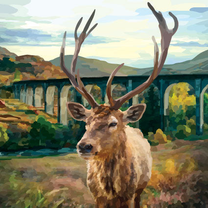 Glenfinnan Stag