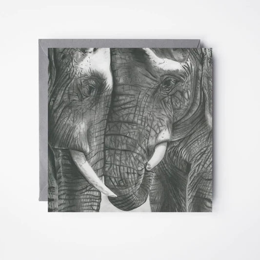 Inkwenkwezi Elephants
