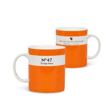 Colour Dictionary Mug