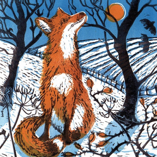 Fox In Snow