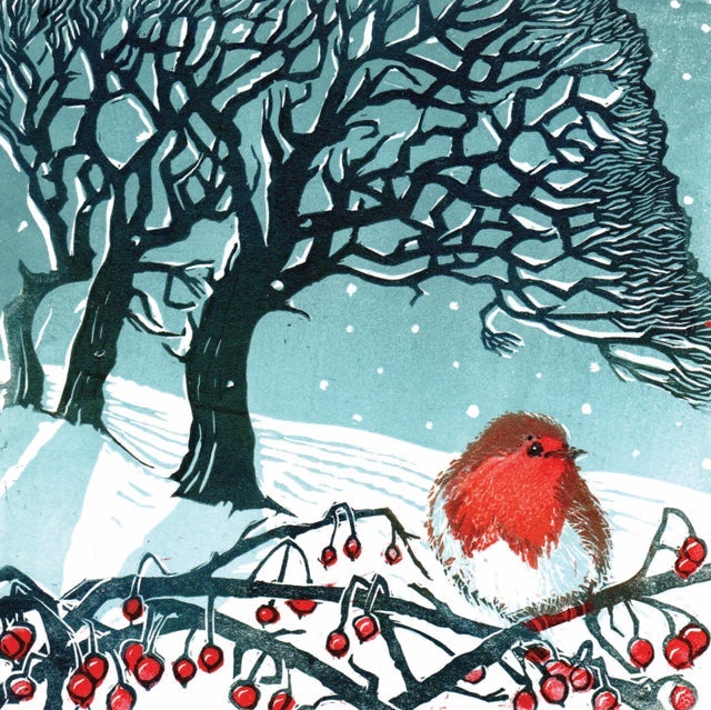 Midwinter Robin