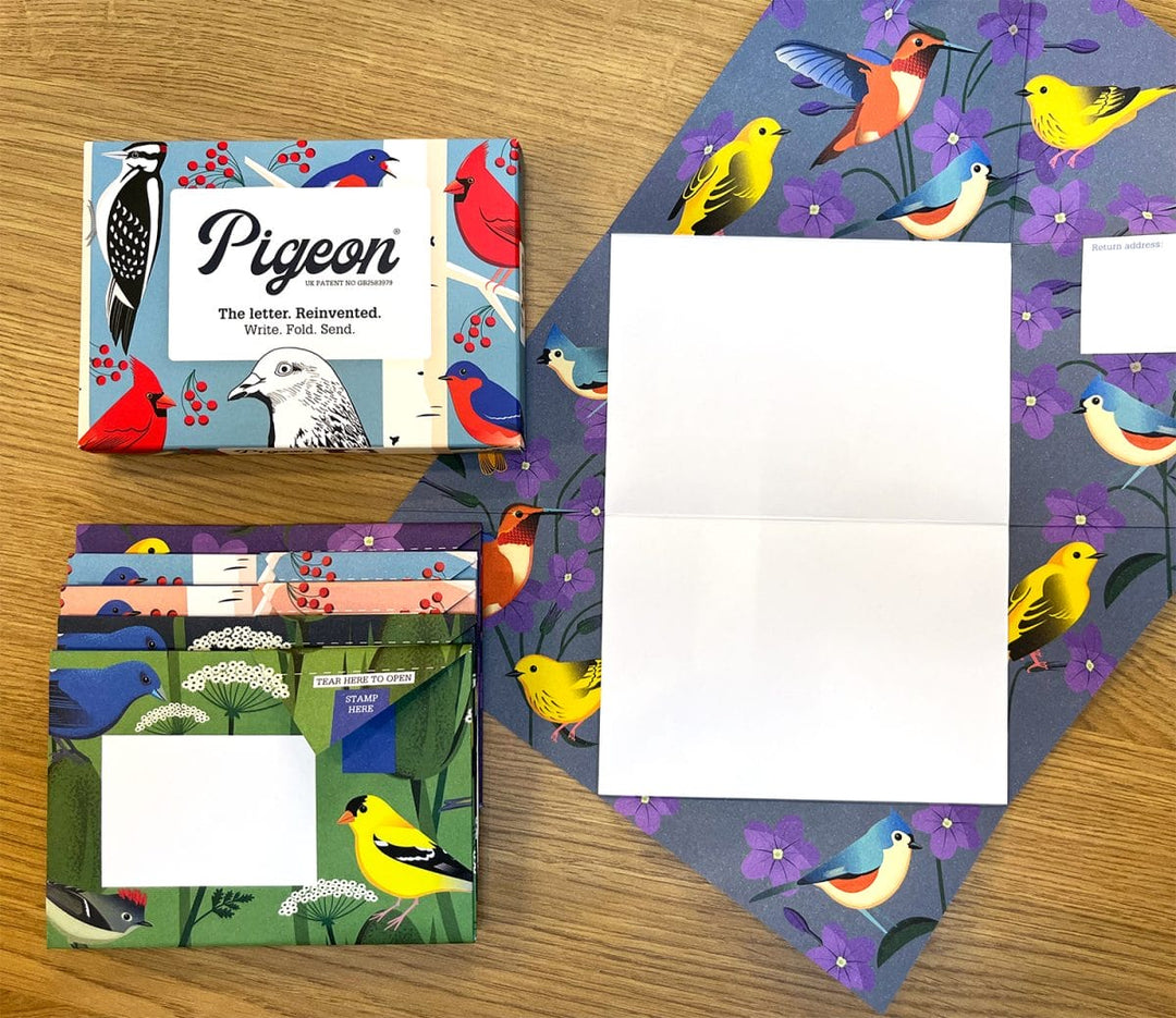 Carnival of Colour Pigeon
