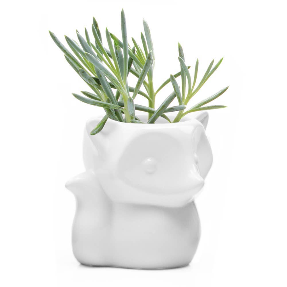 Fox Glazed Modern Ceramic Planter