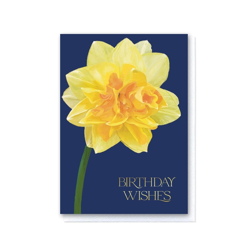 Birthday Wishes