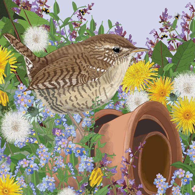 Jenny Wren
