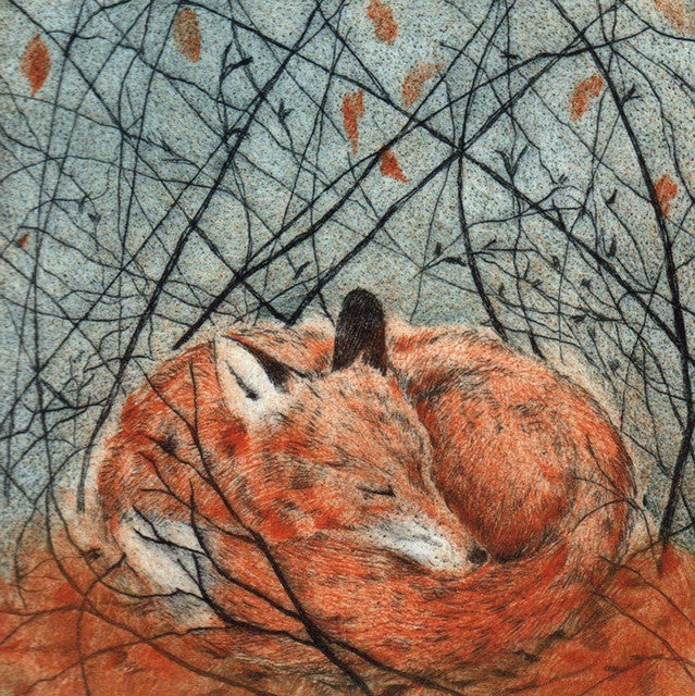 Resting Fox