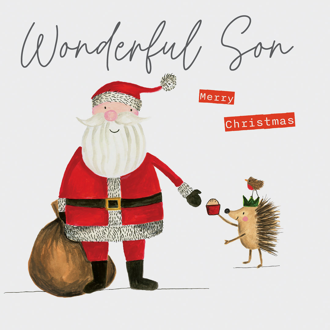 Wonderful Son Merry Christmas