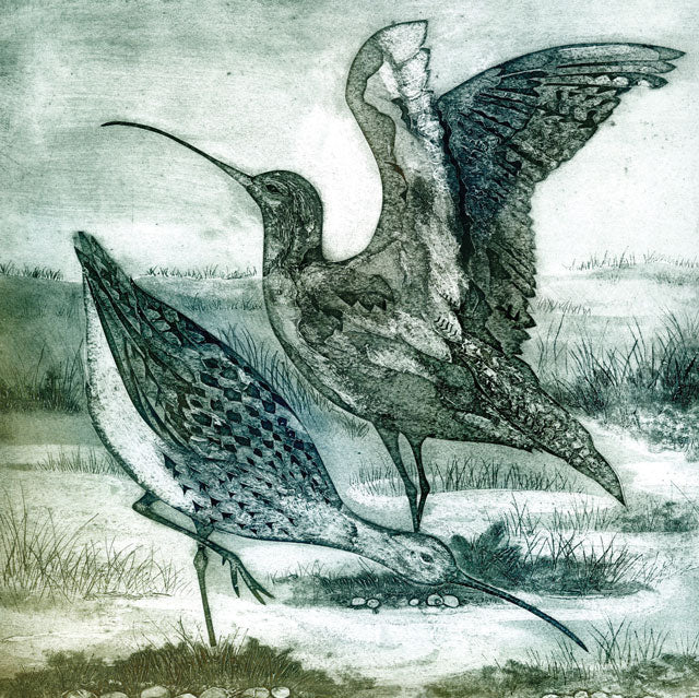 Curlews