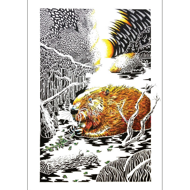 Beaver at Sunset
