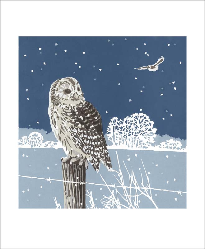 Winter Tawnies