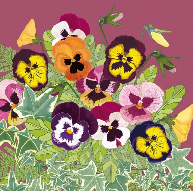 Pansies