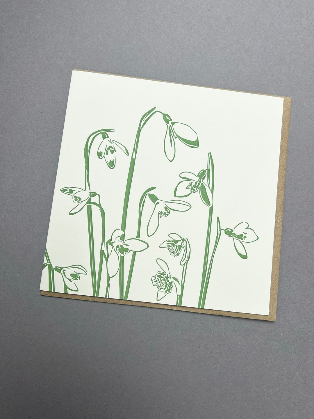 Snowdrops