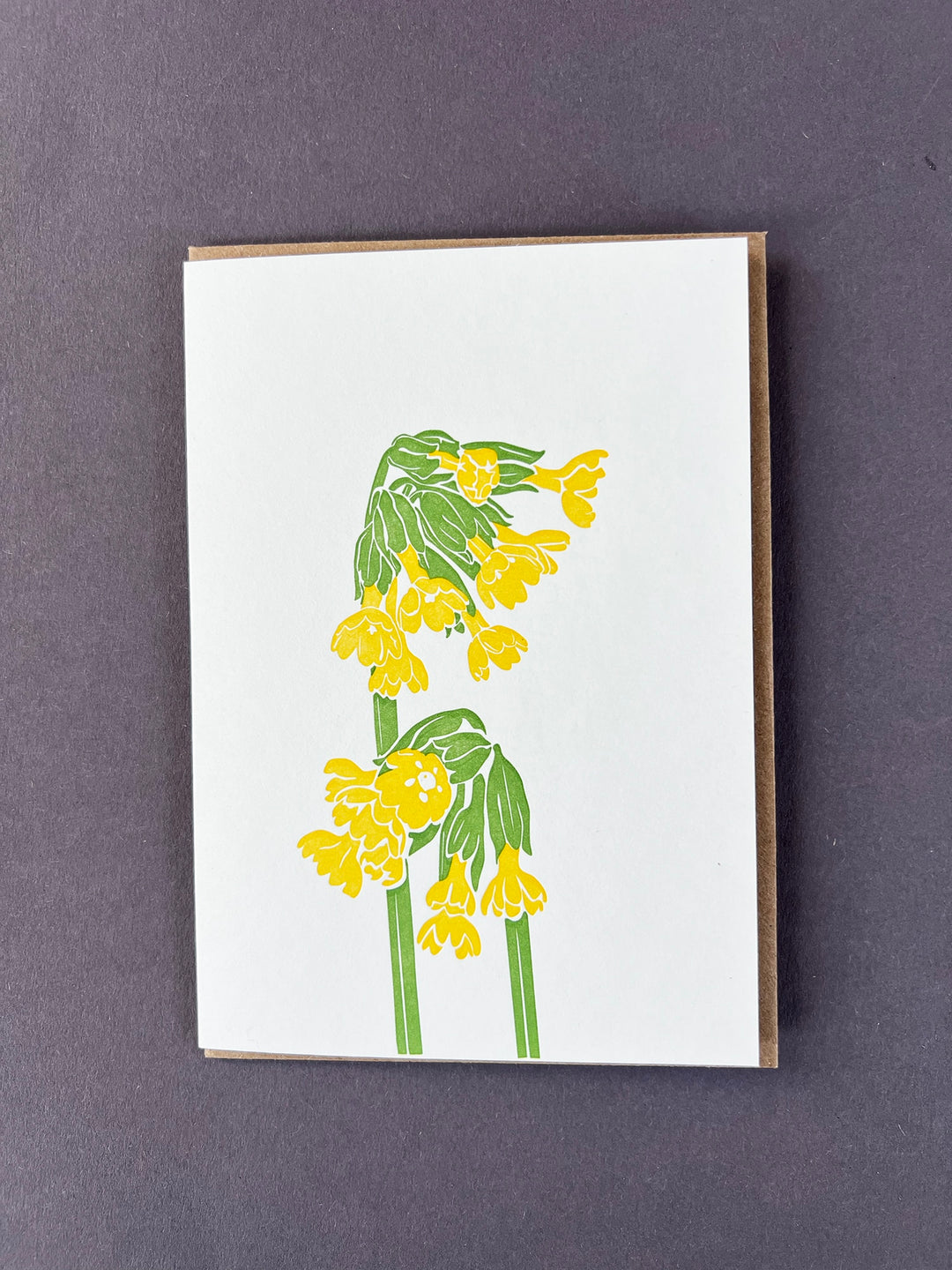 Cowslip