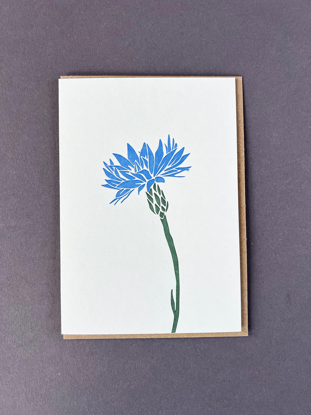 Cornflower