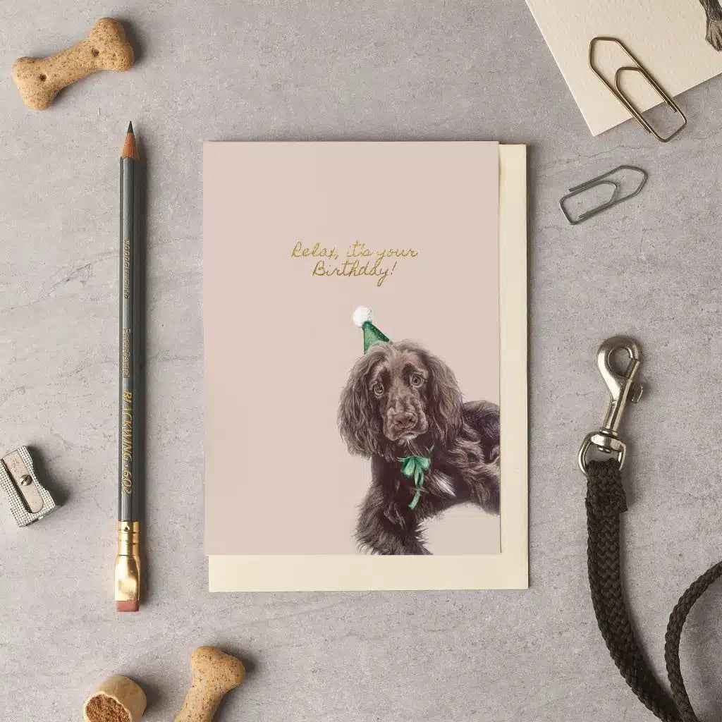 Relax, it’s your Birthday Spaniel