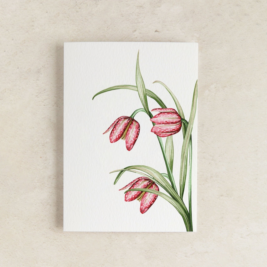 Mini Snakes Head Floral
