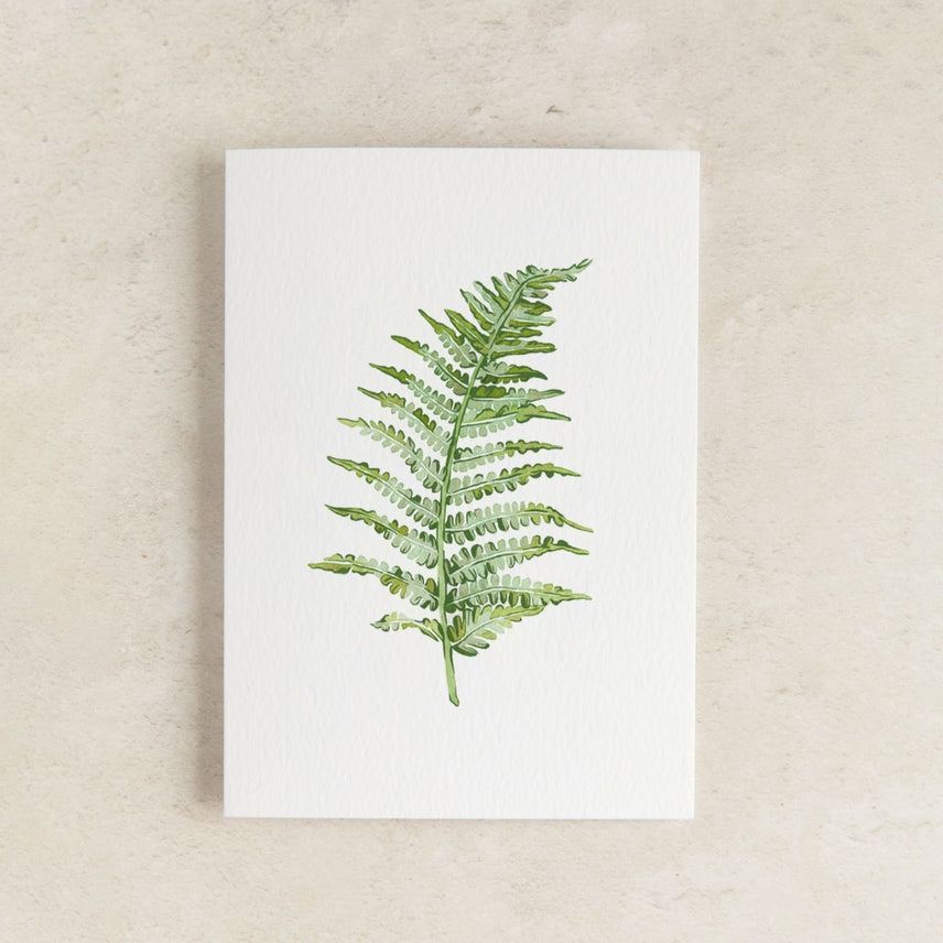 Mini Fern