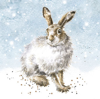 Winter Hare