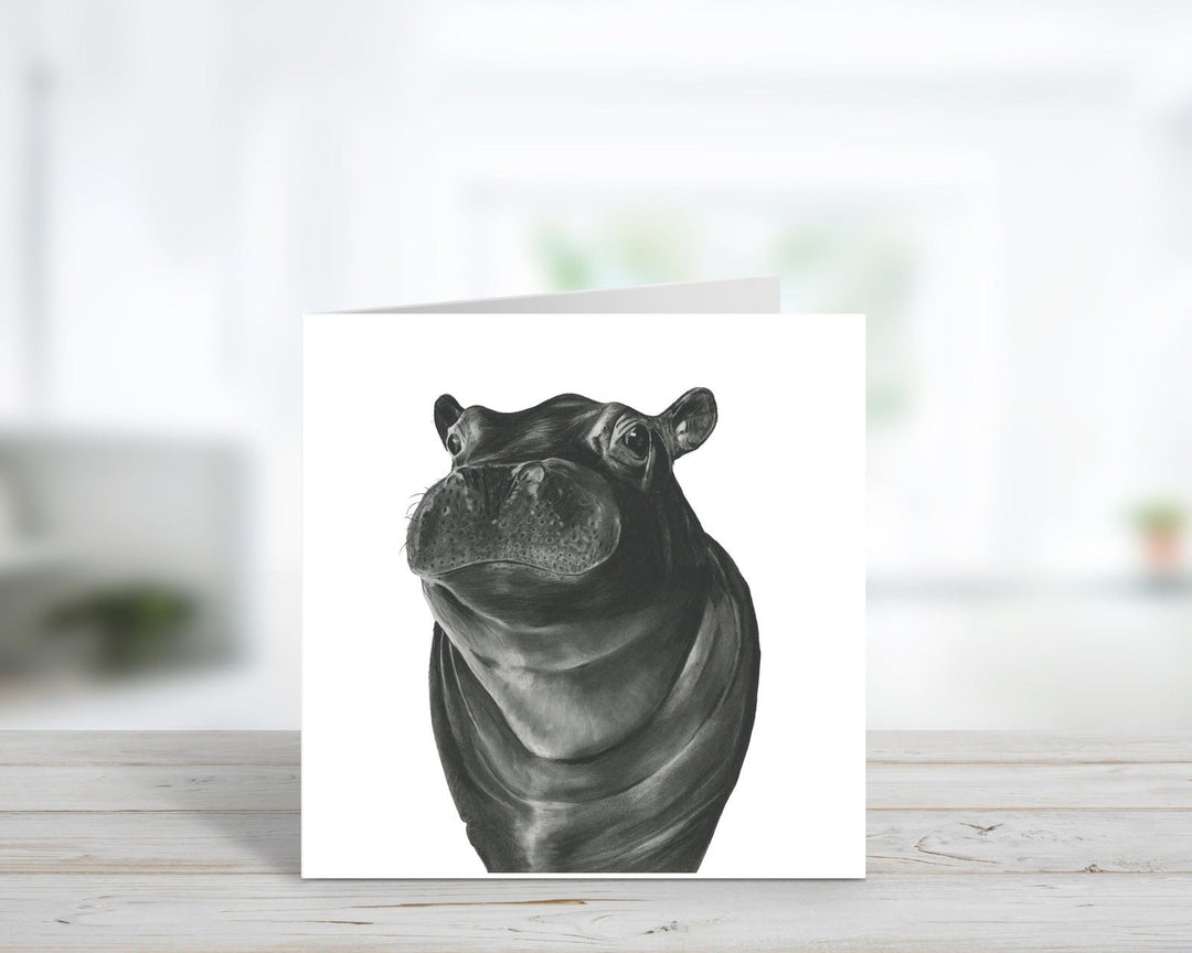 Carina the Hippo