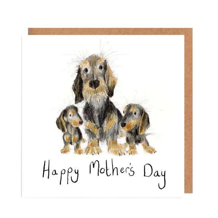Sophie, Anna and Primrose Dachshunds Mother's Day