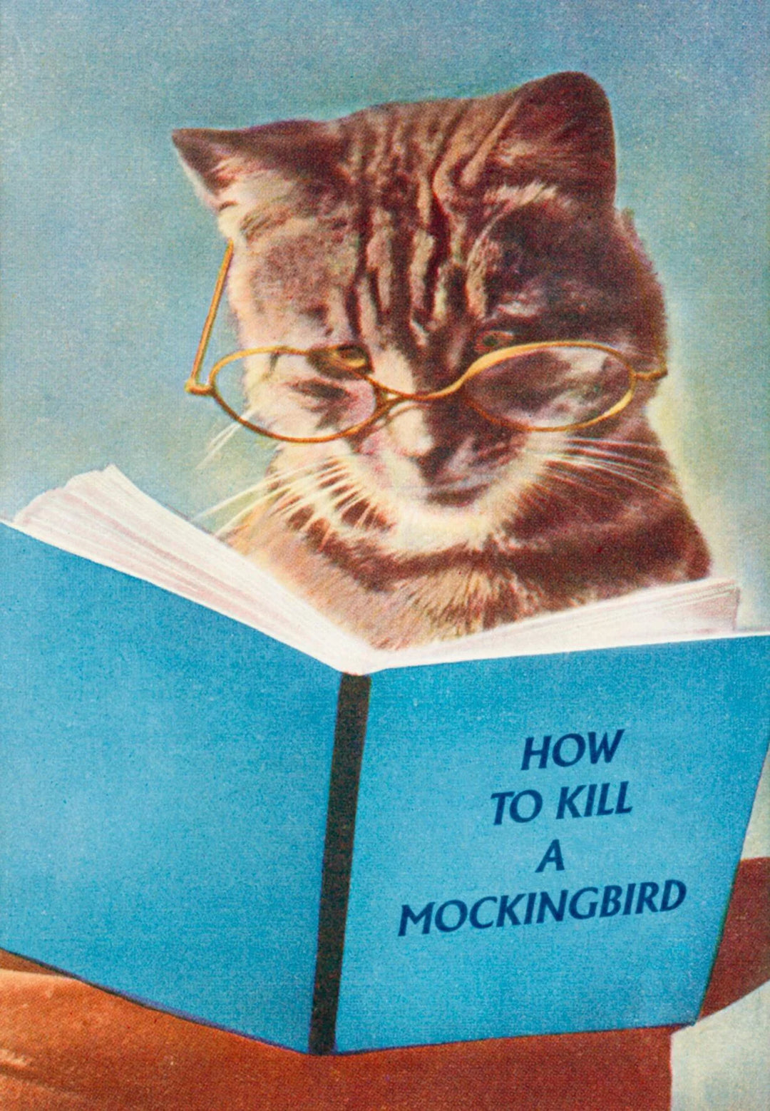 MOCKINGBIRD