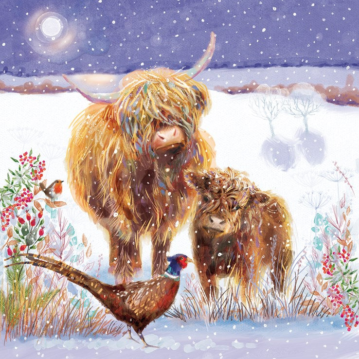 HIGHLAND COWS