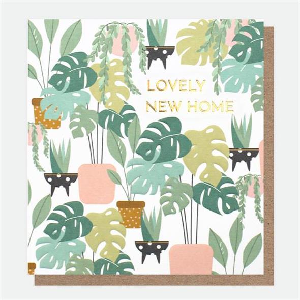 Lovely New Home