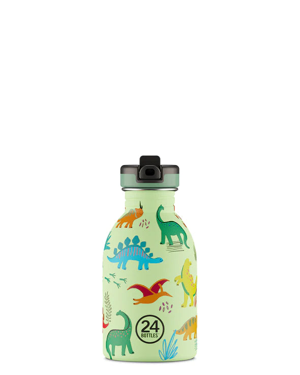 24 Bottles Urban 250ml