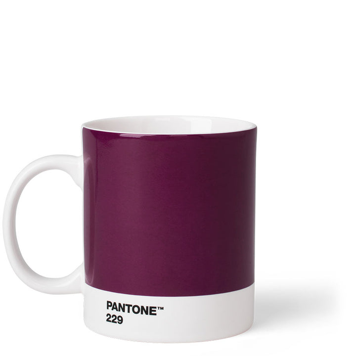 Pantone Mug