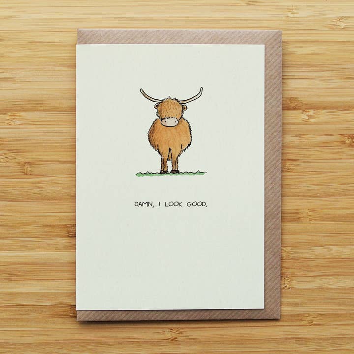 Good Looking Highland Cow