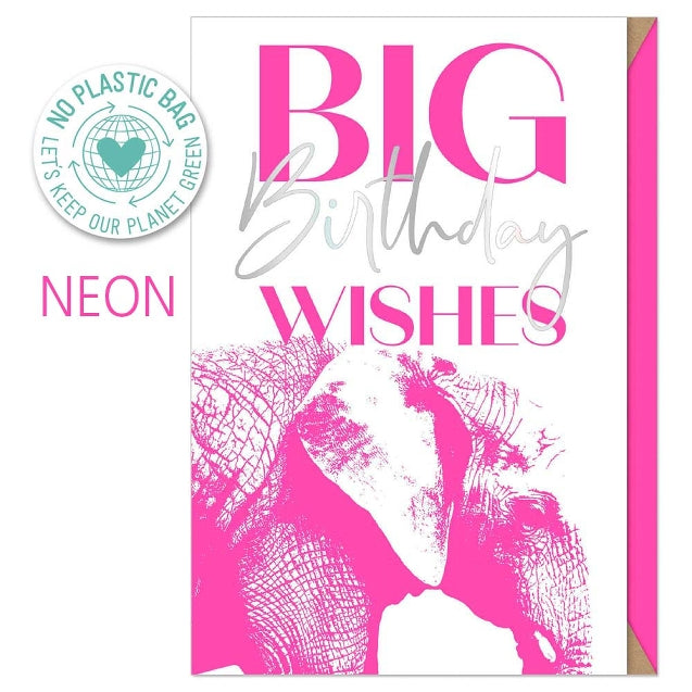 Big Birthday Wishes