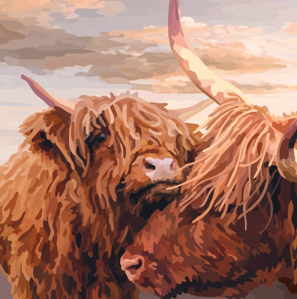 Hairy Coos