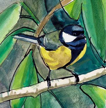 Great Tit