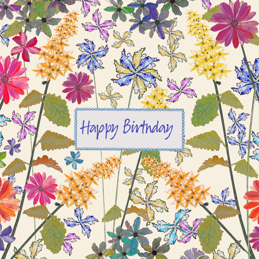 Birthday Wishes