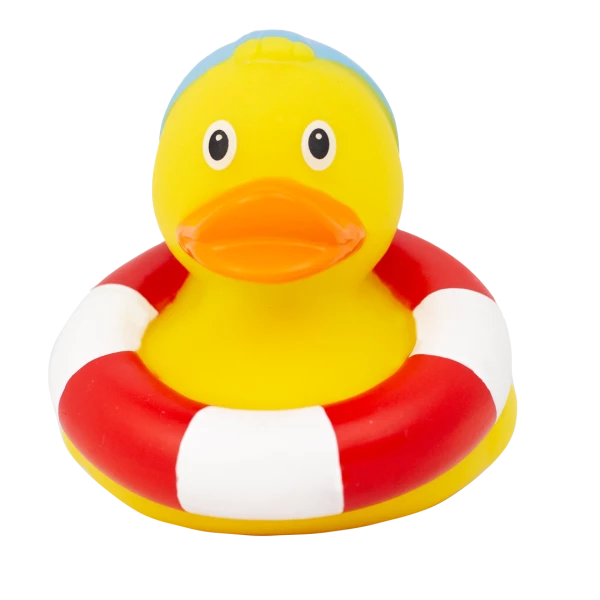 Swimmer Duck