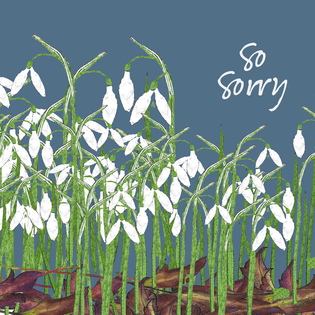 So Sorry