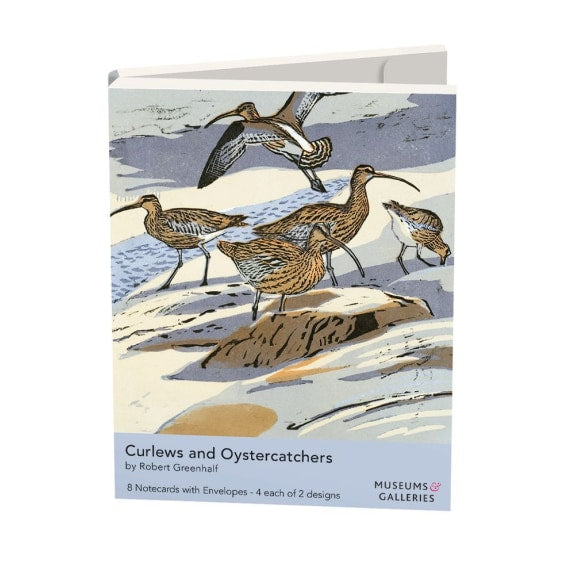 CURLEWS AND OYSTERCATCHERS