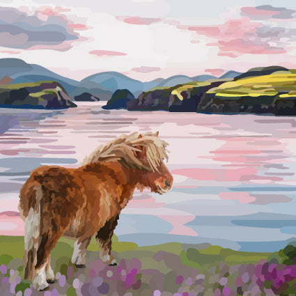 Shetland Pony