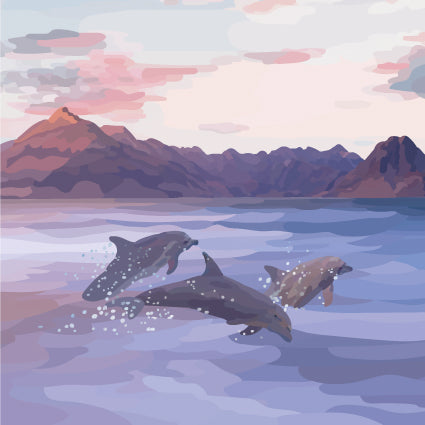 Skye Porpoises