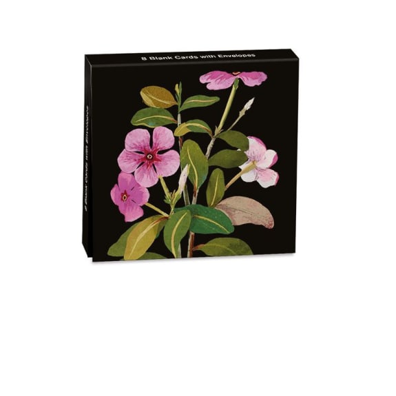 DELANY VINCA ROSEA