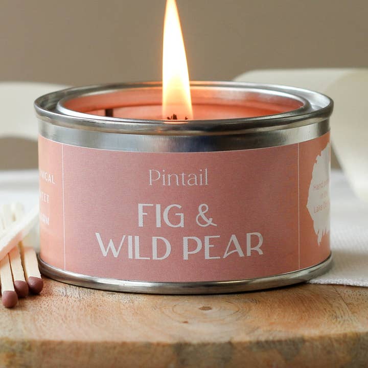 Fig & Wild Pear Paint Pot Candle