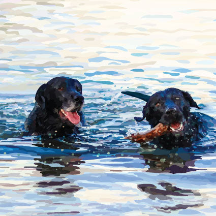 Two Lab Dogs Playing