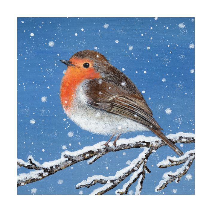 ROBIN IN THE SNOW PACK OF 8