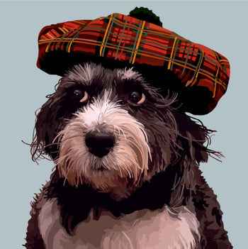Pooch & Hat