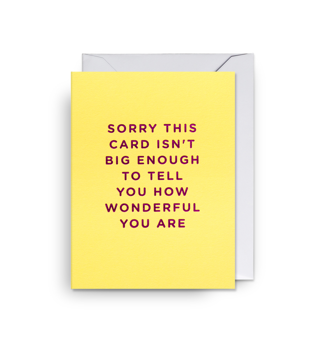 Sorry This Card Isn't Big Enough to Tell You How Wonderful You Are