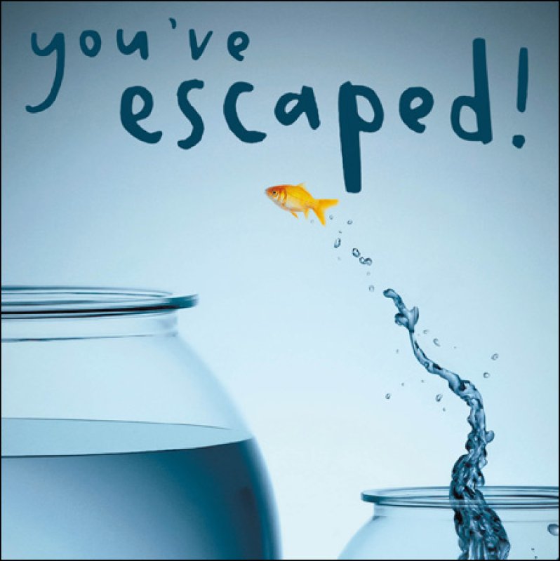 You've escaped!