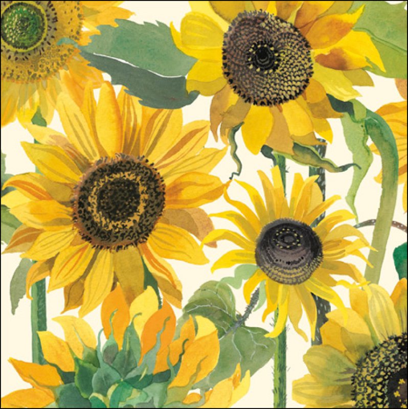 Sunflowers