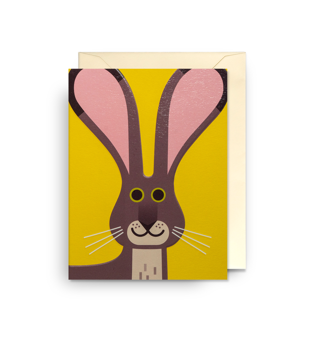 Antelope Jackrabbit