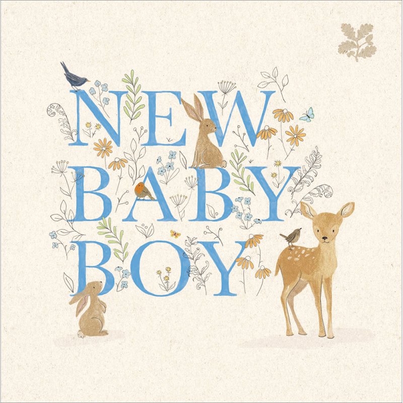 Welcome Little Boy